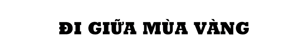 Mùa vui trên ruộng đồng Hà Tĩnh