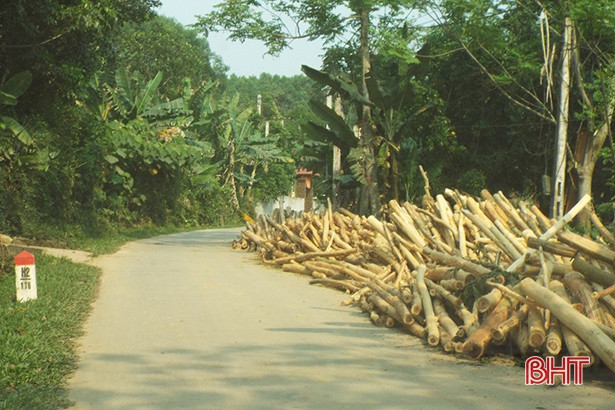 Ồ ạt tập kết gỗ keo bên đường, “uy hiếp” giao thông trên QL8C ở Hà Tĩnh