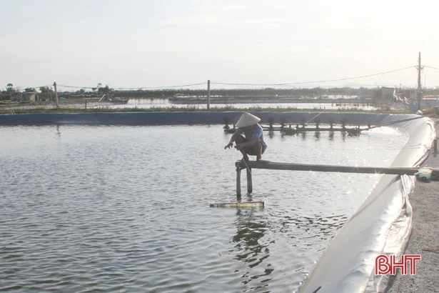 Phòng bệnh - giải pháp căn cốt, bền vững cho tôm nuôi