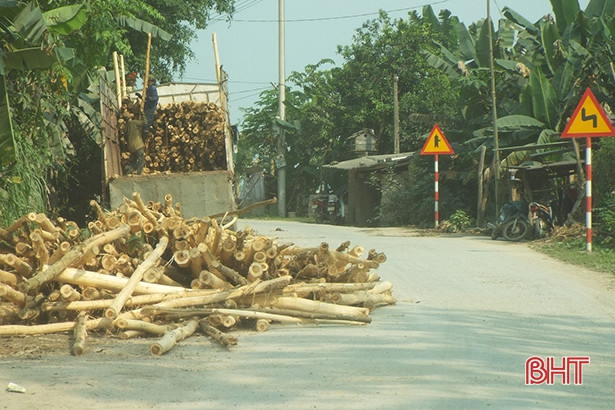 Ồ ạt tập kết gỗ keo bên đường, “uy hiếp” giao thông trên QL8C ở Hà Tĩnh
