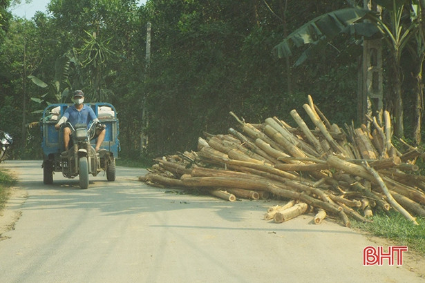 Ồ ạt tập kết gỗ keo bên đường, “uy hiếp” giao thông trên QL8C ở Hà Tĩnh