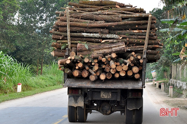 Ồ ạt tập kết gỗ keo bên đường, “uy hiếp” giao thông trên QL8C ở Hà Tĩnh