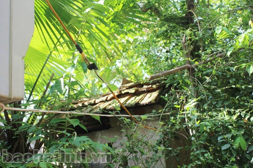 Mất an toàn lưới điện nông thôn: Báo động "đỏ"! ảnh 3 Mất an toàn lưới điện nông thôn: Báo động "đỏ"! ảnh 3