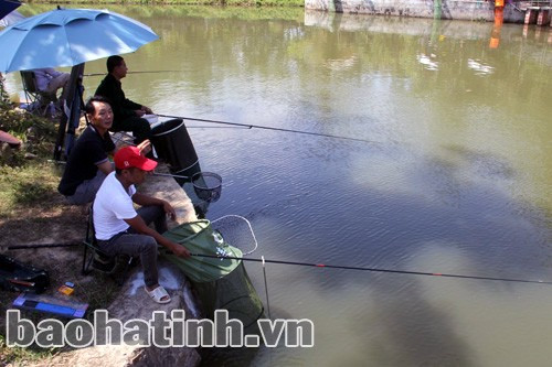 Các cần thủ thi đấu ở lô hồ 2 liên tục nhấp câu