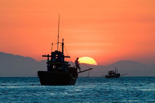 Ảnh minh họa từ internet