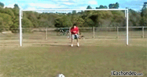 Những khoảnh khắc siêu hài hước chỉ có thể bắt gặp trong thể thao