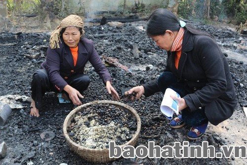 Không còn gì để mà nhặt nữa rồi