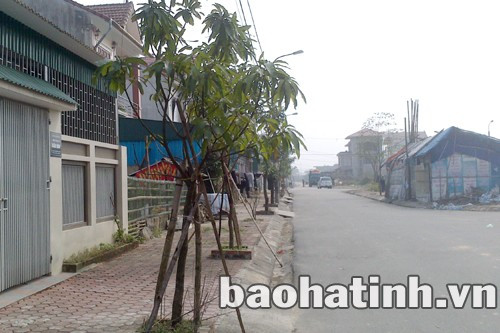 Để chống nóng, người dân đã tự tiện đào vỉa hè lên để trồng cây xanh