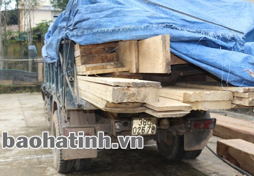 Phương tiện cùng tang vật bị lực lượng kiểm lâm thu giữ