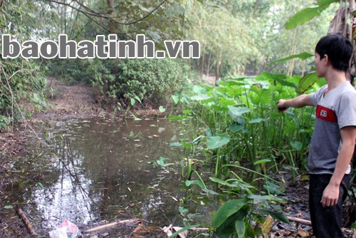 Kho thuốc sâu nằm trong hố bom sũng nước