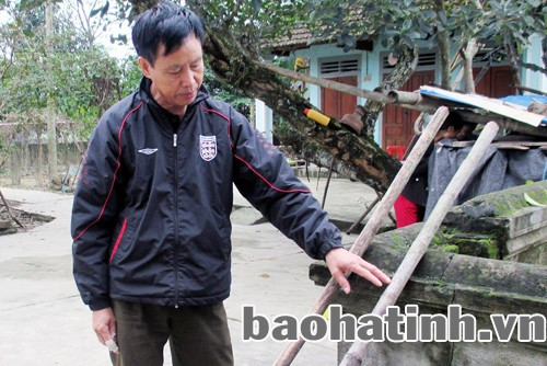 Phải cưa cây cau thành khúc, chẻ từng thanh nhỏ, phơi khô, đem luộc, rồi tiếp tục phơi