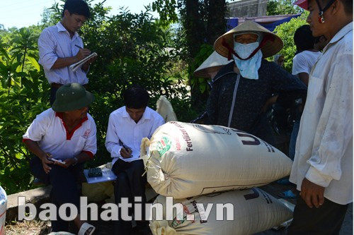 Tổng Công ty CP VTNN Nghệ An thu mua lúa sau thu hoạch tại xã Thạch Tân (Thạch Hà).