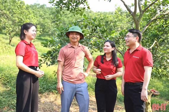 Tiếp sức cho nông nghiệp sạch từ dòng vốn ưu tiên