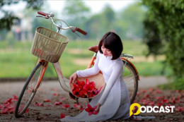 Podcast tản văn: Mùa hoa gạo, mùa nỗi nhớ