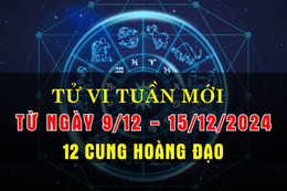 Tử vi tuần mới từ 9/12-15/12/2024 của 12 cung hoàng đạo: Song Tử tỏa sáng, Song Ngư an lành