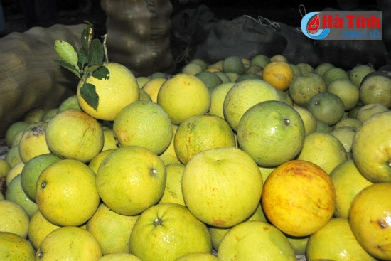 buoi phuc trach dai thang