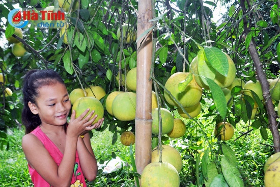 buoi phuc trach dai thang