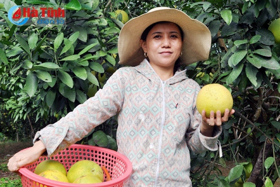 buoi phuc trach dai thang