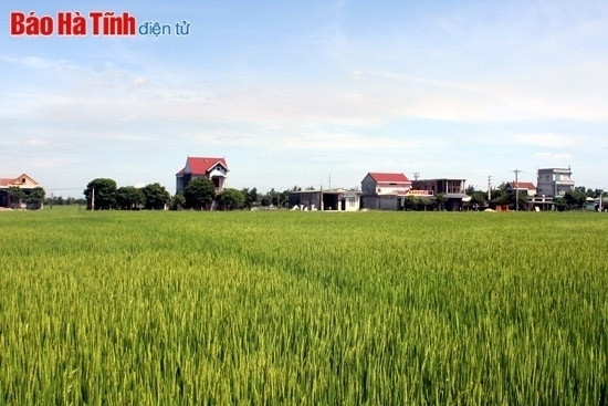 Hà Tĩnh - điểm sáng toàn quốc về thu hút đầu tư, xây dựng nông thôn mới ảnh 5