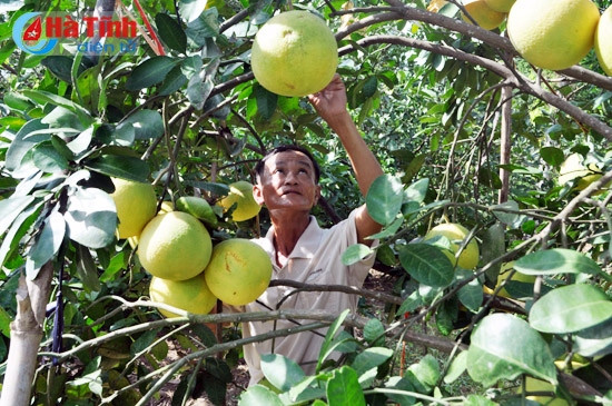 buoi phuc trach dai thang