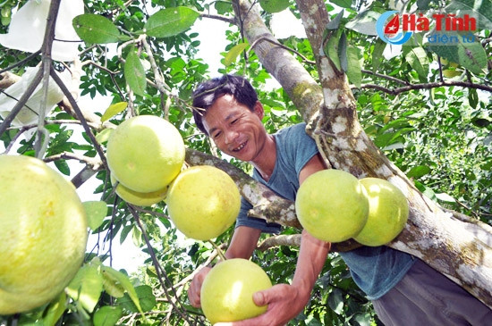 buoi phuc trach dai thang
