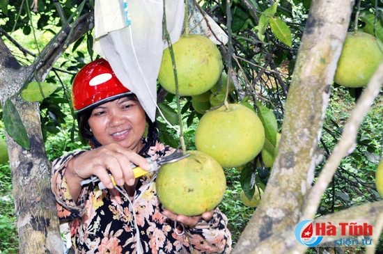 buoi phuc trach dai thang