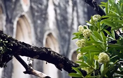 Ảnh: Bá Quỳnh (Infonet) Ảnh: Bá Quỳnh (Infonet)