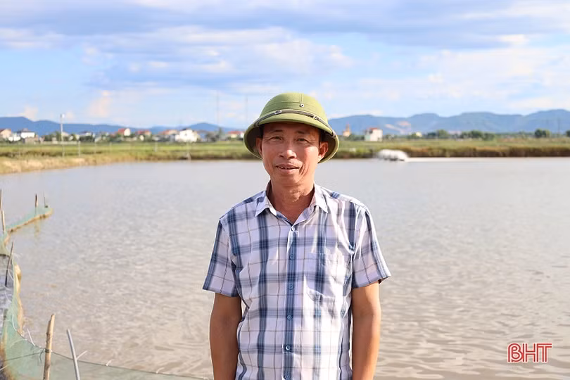 Nuôi cá chim vây vàng cho lợi nhuận hàng trăm triệu đồng