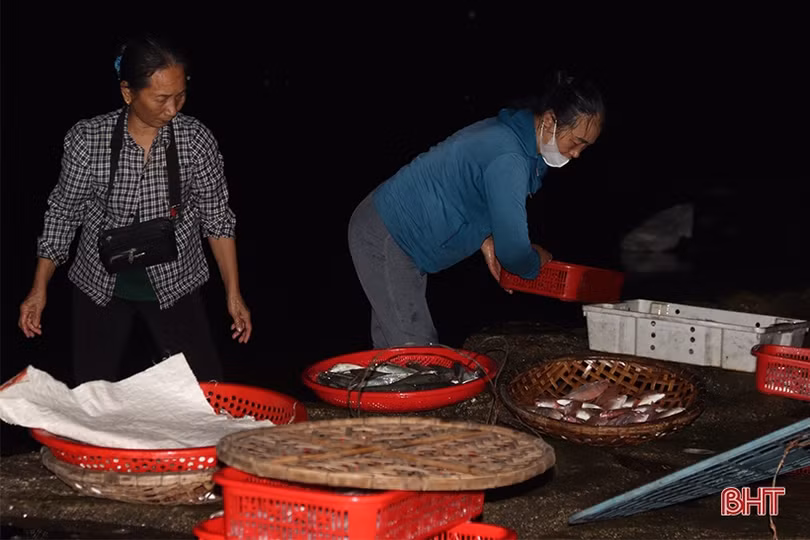 Hải sản đắt hàng, ngư dân Hà Tĩnh háo hức vươn khơi