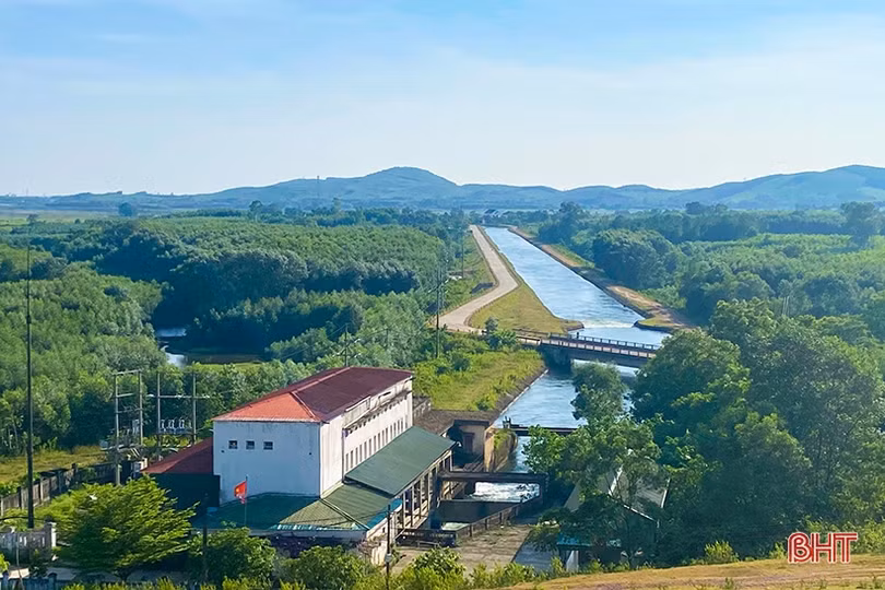 Nông dân Hà Tĩnh vào đợt tỉa dặm, chăm sóc lúa hè thu