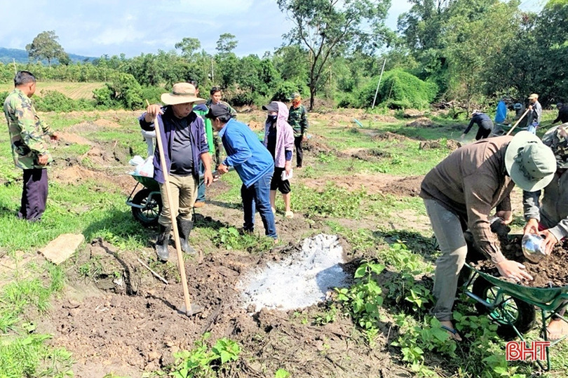 Chuyển giao kỹ thuật, giúp nông dân Lào trồng cam Khe Mây
