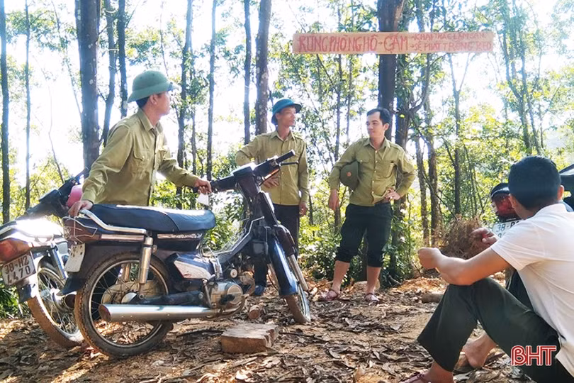 Canh rừng trong thời điểm nắng nóng