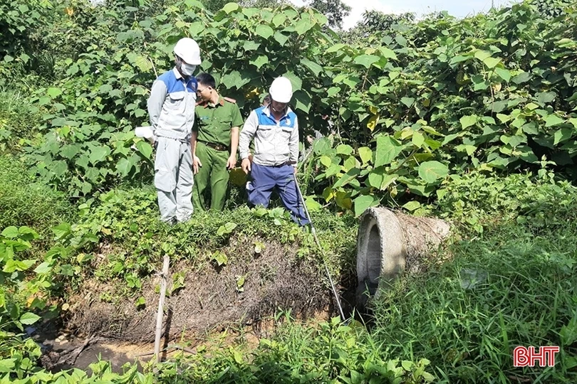 Phạt hơn 41 triệu đồng chủ trại lợn vi phạm xử lý chất thải