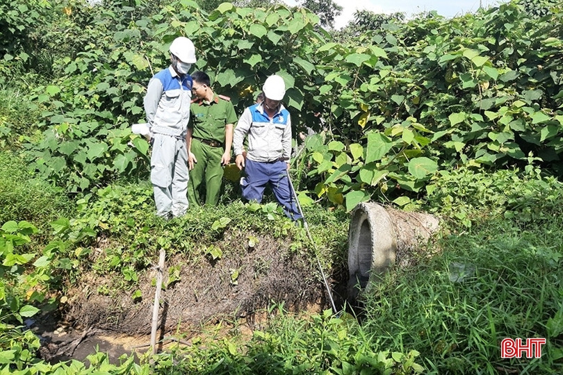 Phạt hơn 41 triệu đồng chủ trại lợn vi phạm xử lý chất thải