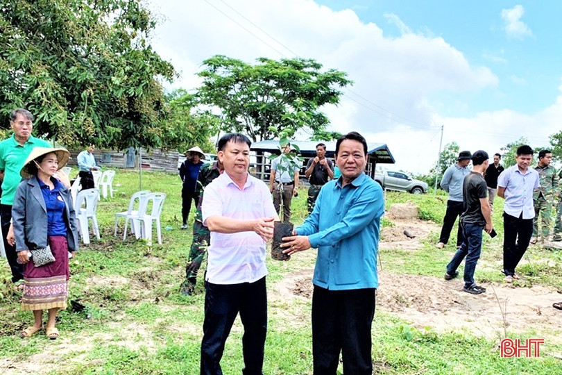 Chuyển giao kỹ thuật, giúp nông dân Lào trồng cam Khe Mây