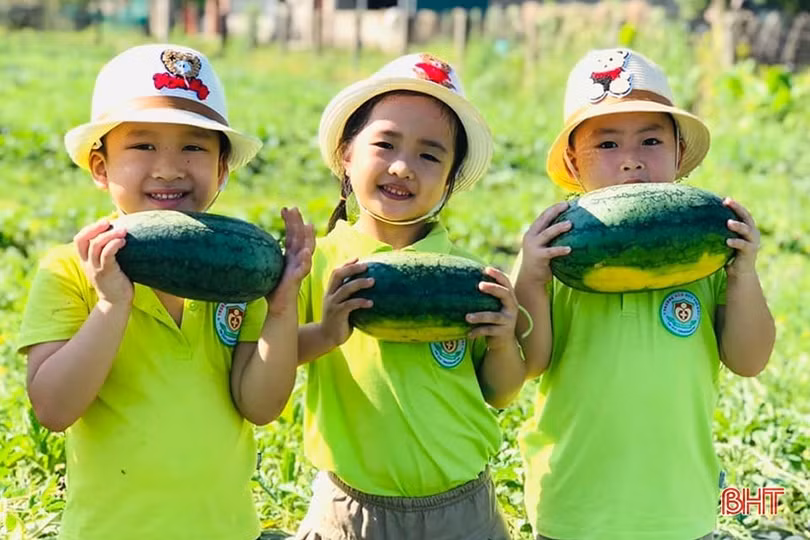 Mầm non Trí Đức: Mang tới trải nghiệm mới cho trẻ từ môi trường thực tế