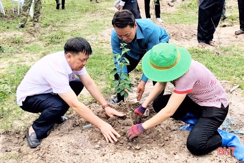 Chuyển giao kỹ thuật, giúp nông dân Lào trồng cam Khe Mây