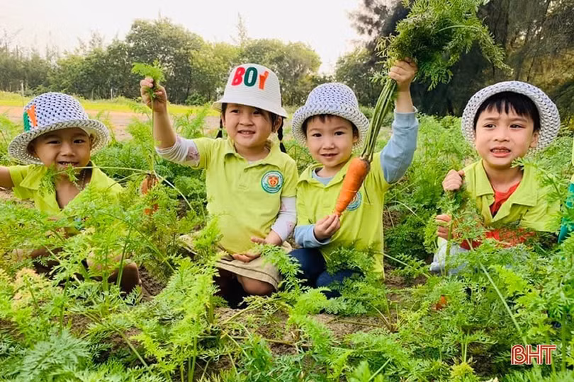 Mầm non Trí Đức: Mang tới trải nghiệm mới cho trẻ từ môi trường thực tế