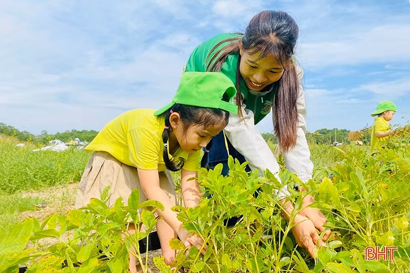 Mầm non Trí Đức: Mang tới trải nghiệm mới cho trẻ từ môi trường thực tế