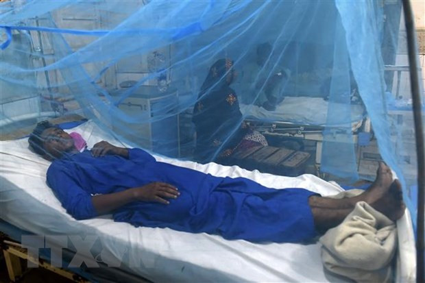 WHO: El Nino làm gia tăng sự lây lan các bệnh liên quan đến virus hình ảnh 1 WHO: El Nino làm gia tăng sự lây lan các bệnh liên quan đến virus