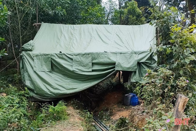 Canh rừng trong thời điểm nắng nóng