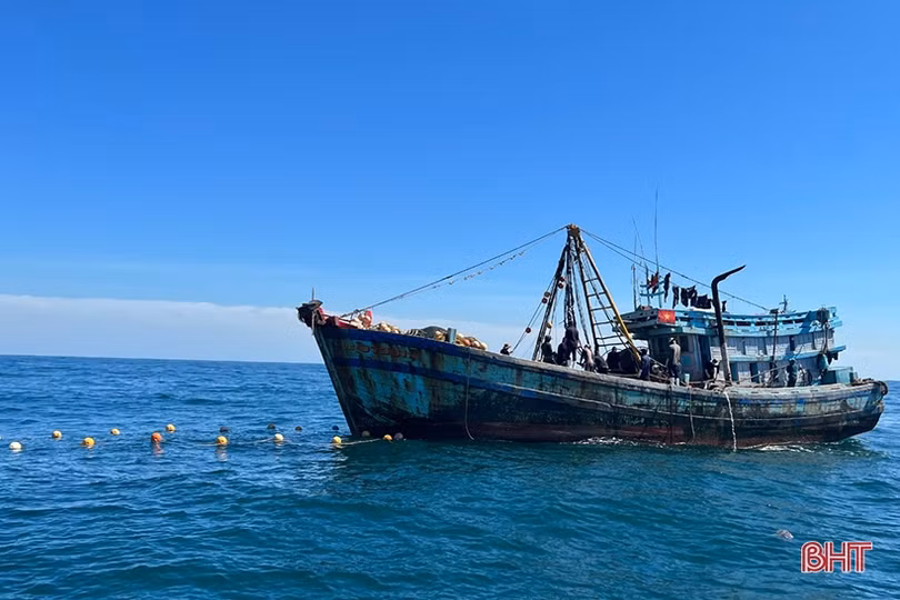 Bắt cặp tàu cá công suất lớn đánh bắt hải sản sai quy định