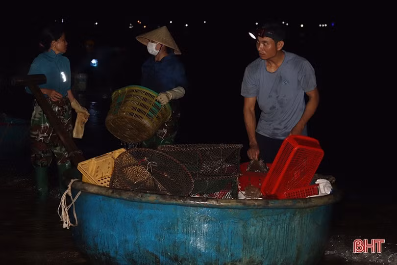 Hải sản đắt hàng, ngư dân Hà Tĩnh háo hức vươn khơi