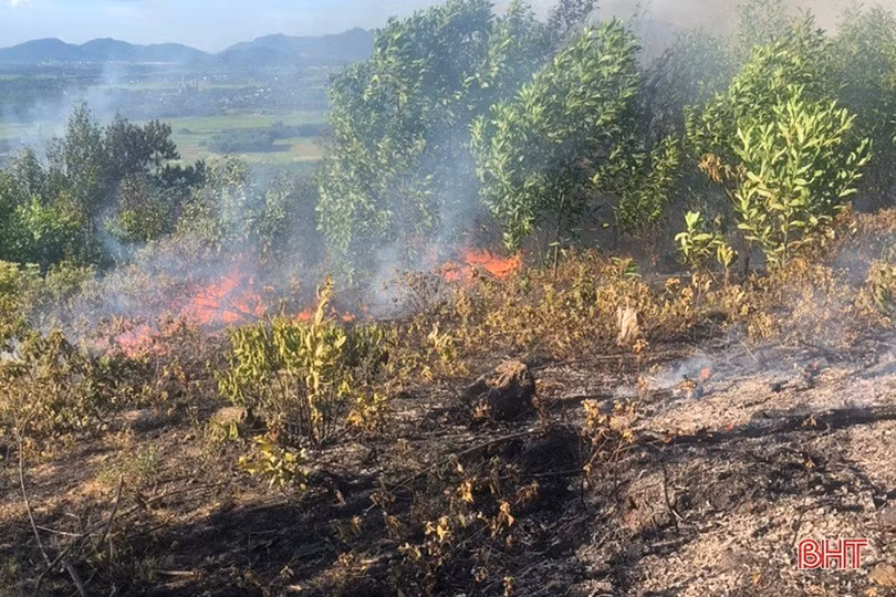 Huy động hơn 300 người chữa cháy rừng ở Can Lộc