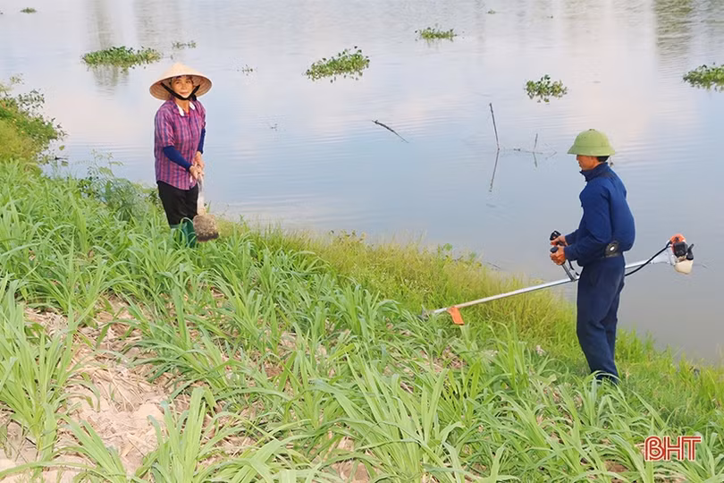 Vợ chồng đồng cam cộng khổ gây dựng trang trại trù phú ở Thạch Hà