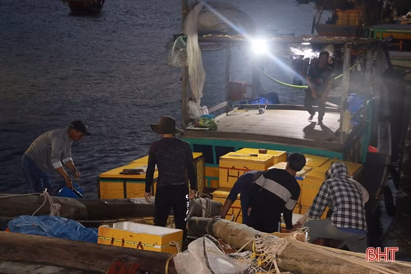 Hải sản đắt hàng, ngư dân Hà Tĩnh háo hức vươn khơi