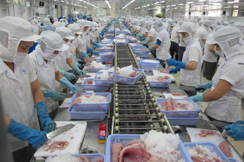 Chế biến tôm đông lạnh xuất khẩu tại Công ty TNHH Thông Thuận, tỉnh Ninh Thuận. Ảnh: Danh Lam - TTXVN Chế biến tôm đông lạnh xuất khẩu tại Công ty TNHH Thông Thuận, tỉnh Ninh Thuận. Ảnh: Danh Lam - TTXVN