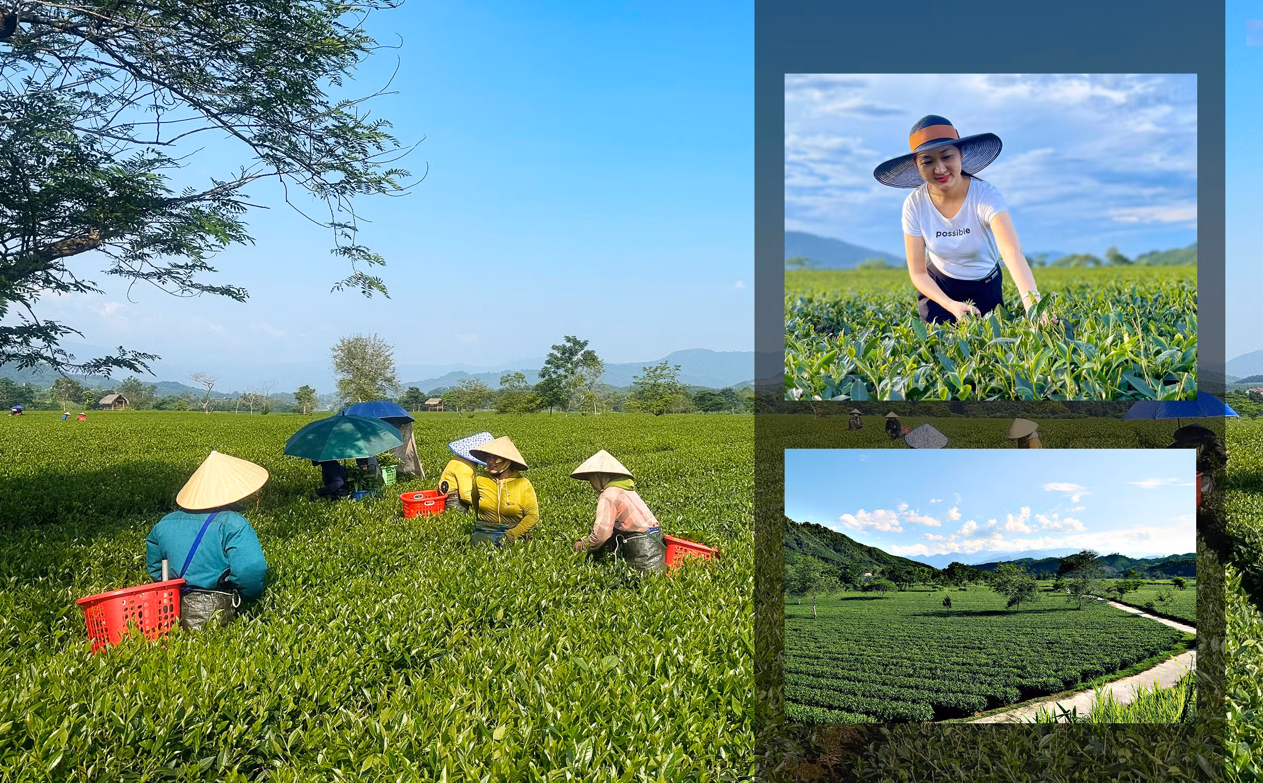 Xây dựng NTM ở Hà Tĩnh: Đi vào chiều sâu, hiệu quả và bền vững (Bài 3): Kiên trì mục tiêu nông thôn hiện đại, bình yên, giàu bản sắc