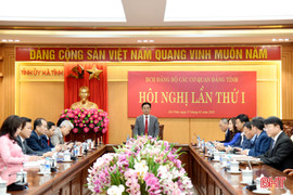 Dự kiến duyệt nội dung Đại hội Đảng bộ các cơ quan Đảng tỉnh trước ngày 10/7
