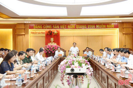 Ban Thường vụ Tỉnh ủy, Ban Chấp hành Đảng bộ tỉnh cho ý kiến các nội dung thuộc thẩm quyền